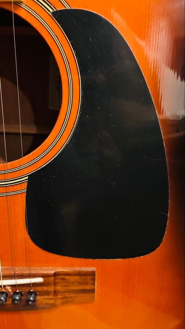 タカミネ takamine T-5/BS アコースティックギター