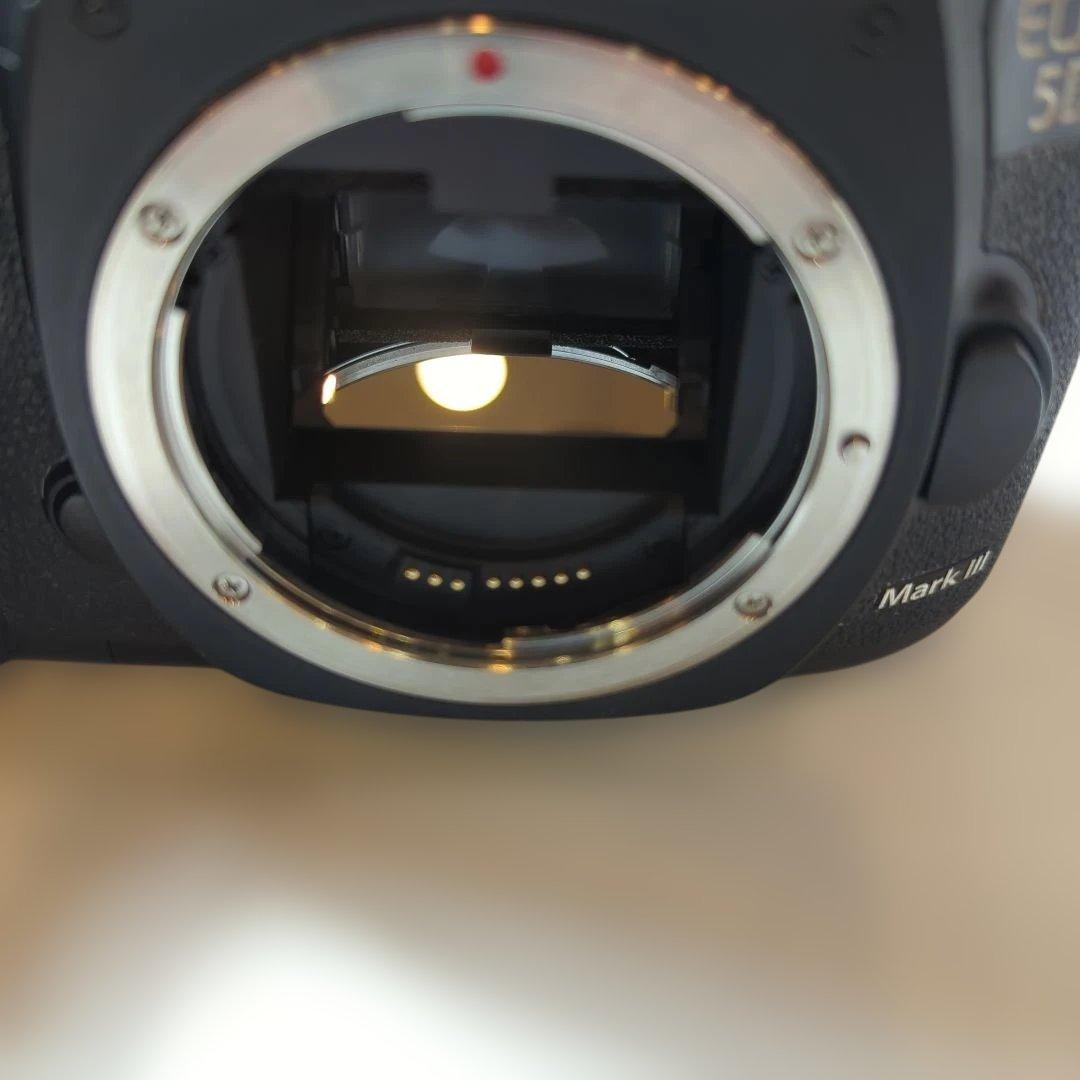 ♫キャノン EOS 5D Mark Ⅲ &バッテリーグリップ BG-E11