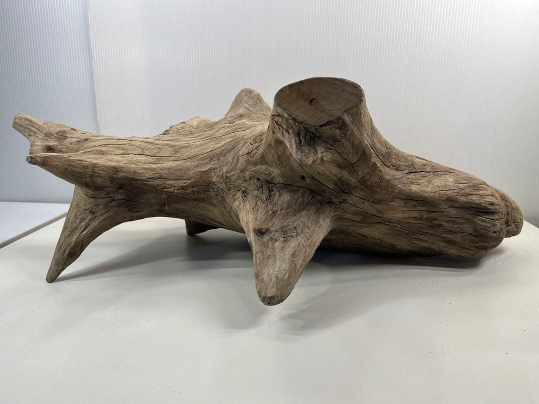 V68特大流木 アク抜き済み流木 爬虫類シェルター 登り木 インテリア 生け花