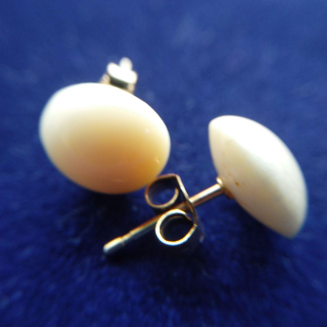 鯨歯　マッコウクジラ　イヤリング＆ピアス