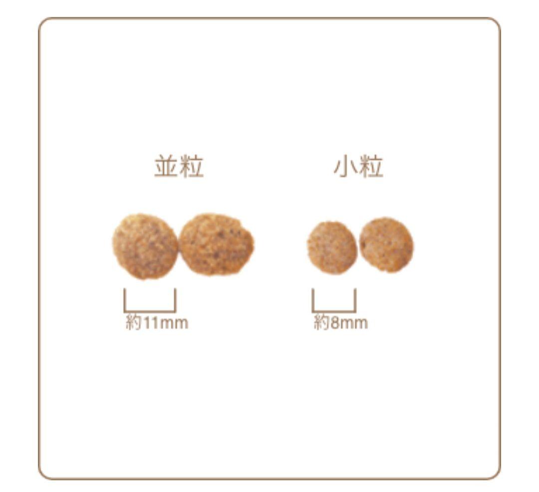 【24時間以内発送】AZ アゼット アダルト 小粒 10kg ２袋