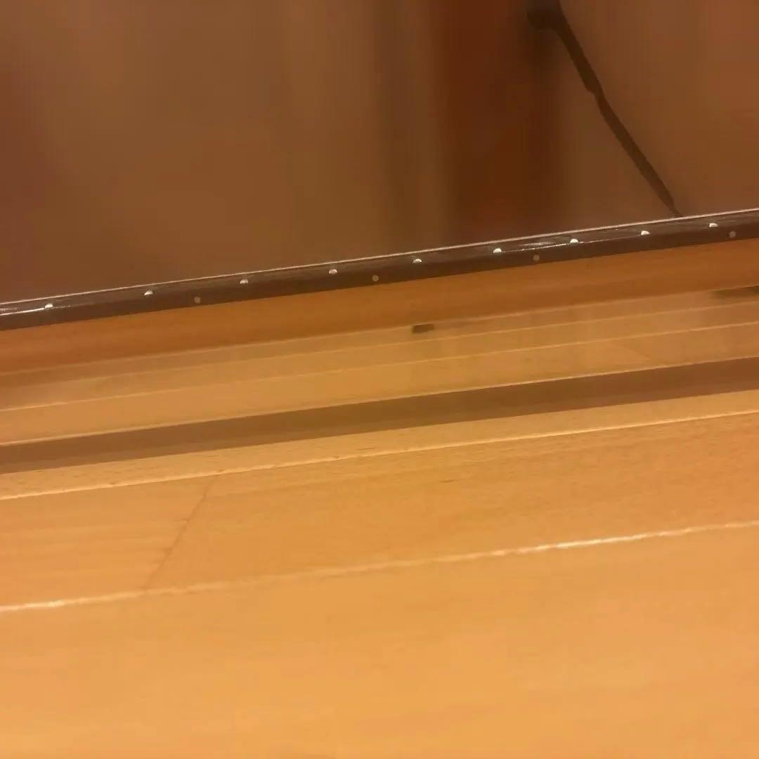 【らすくさん専用】YAMAHA SE 203 アーム付 新品弦張替済