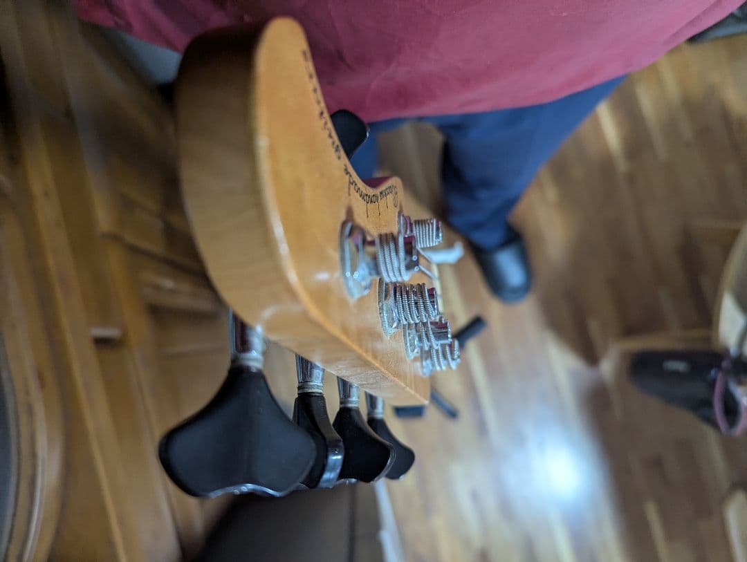 Bacchus5弦パッシブジャズベース　ハンドメイドWOODLAND日本製中古品