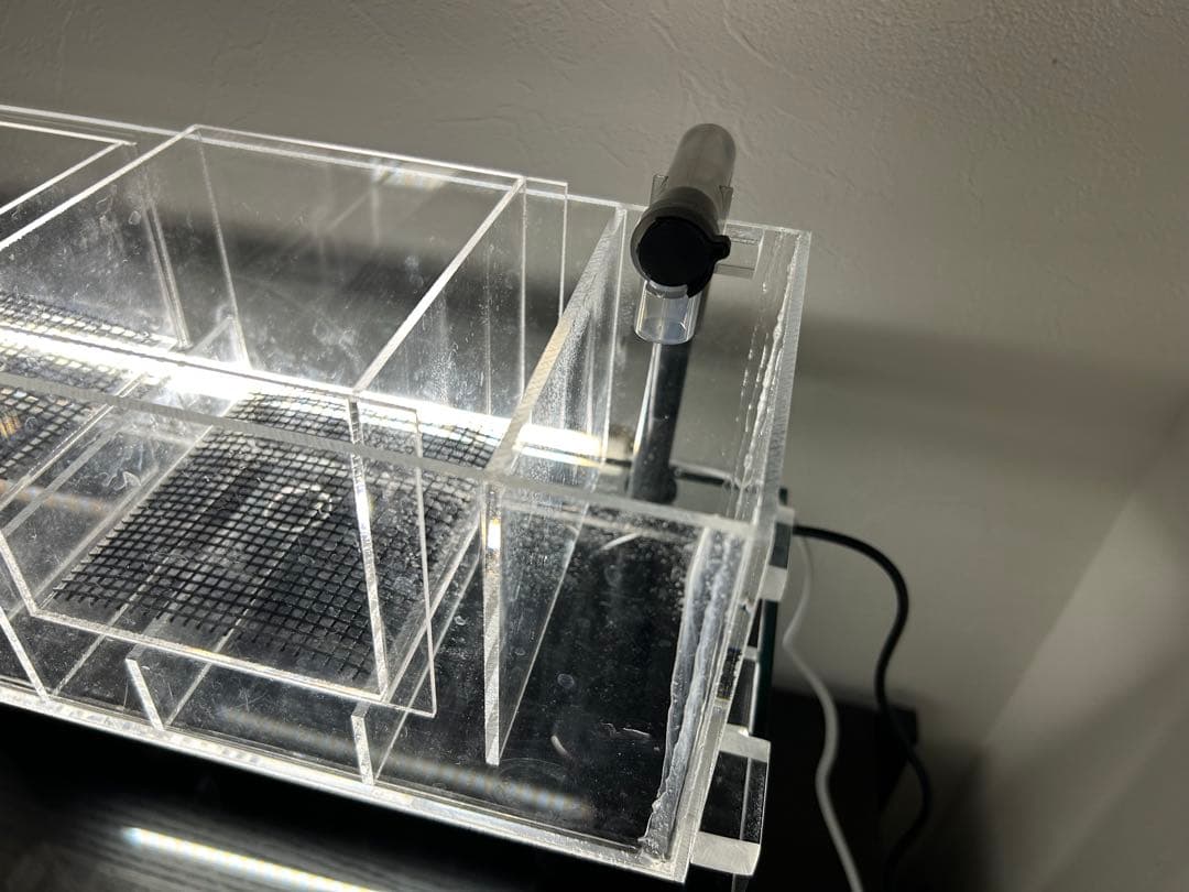 すぐ始められる！！上部濾過式アクアポニックス水槽アクアリウム水槽