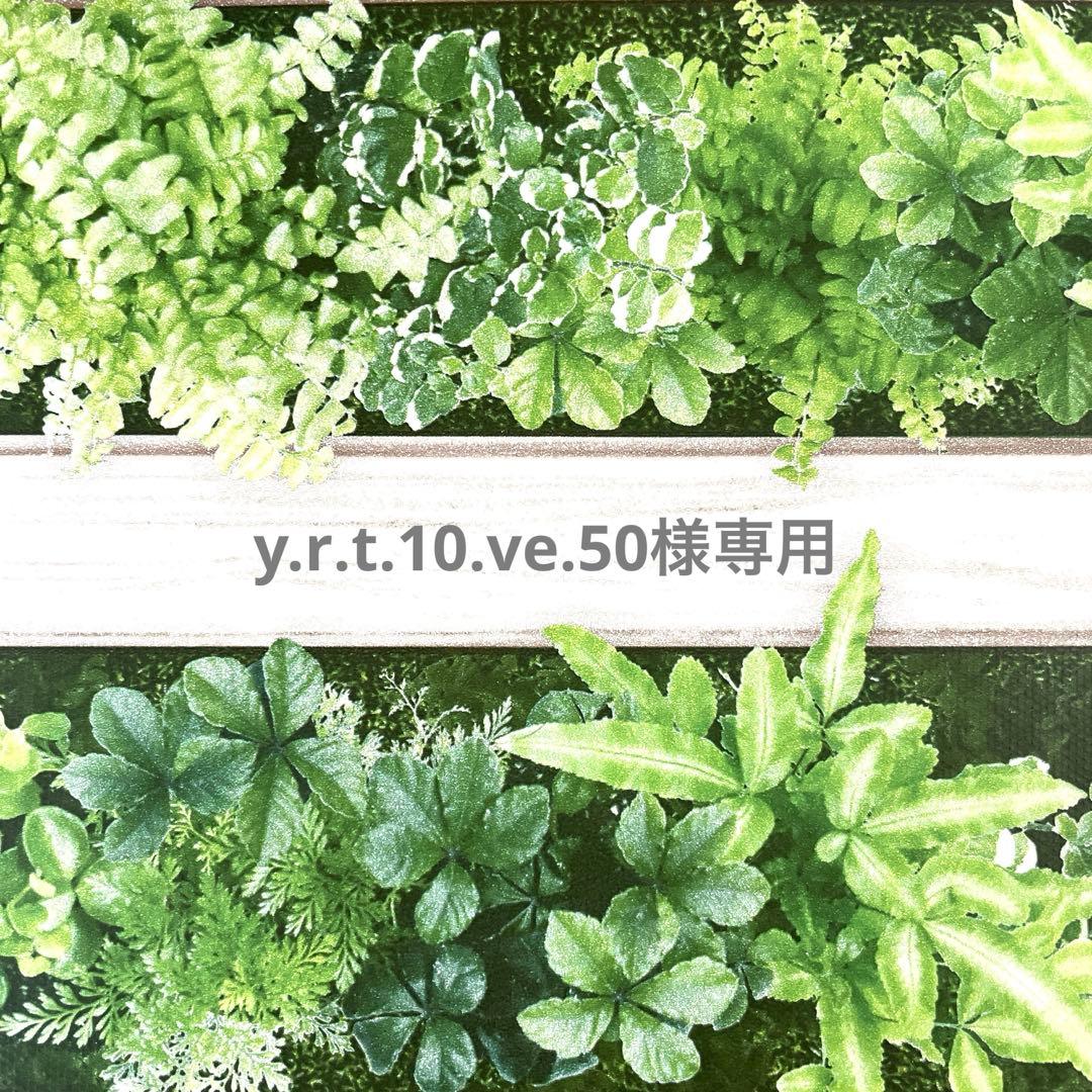 y.r.t.10.ve.50ページ トリミングチョーカー バレンタイン