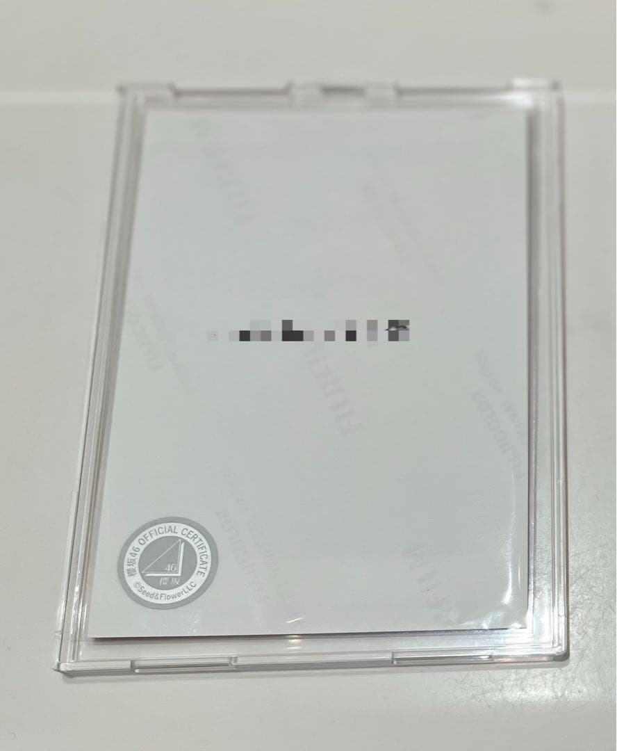 櫻坂46 山川宇衣　直筆サイン入り生写真 2025年サンタ衣装　即購入可