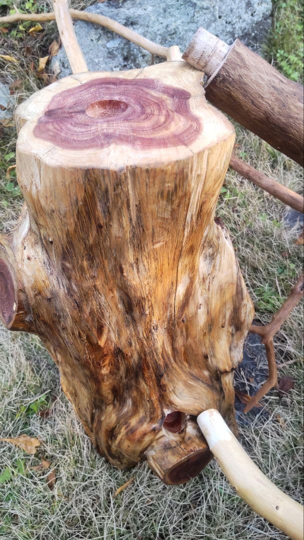 バードアスレチック　鳥用止まり木