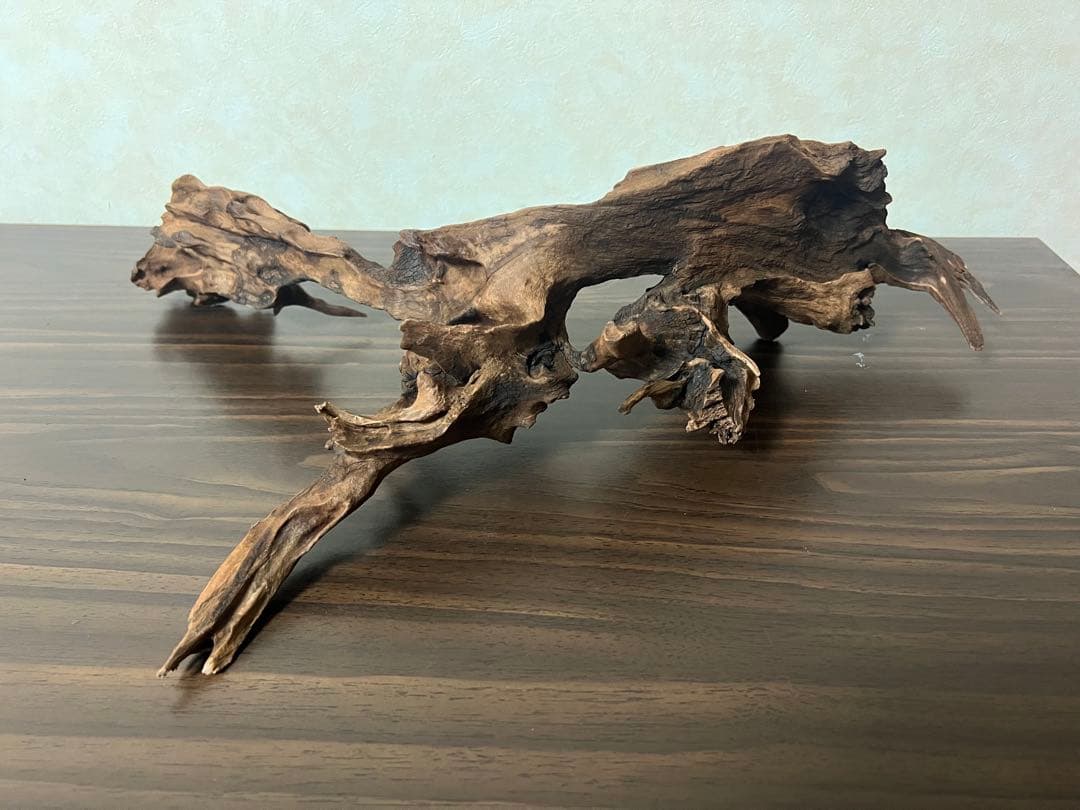 HX-057流木　マシンガンウッド　ホーンウッド アクアリウム　ブランチウッド