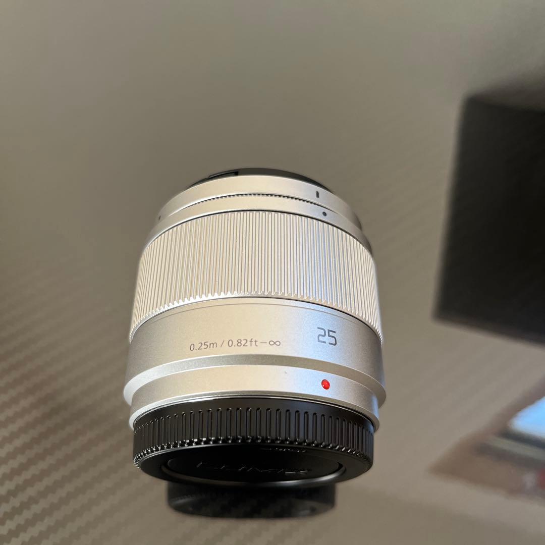 Panasonic LUMIX DC-GF9W デジタル一眼レフ