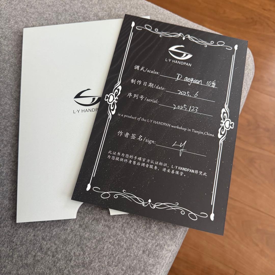 LYハンドパン D Aegean 10