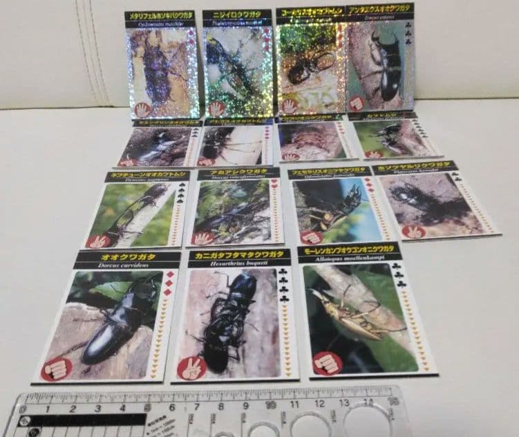 昆虫トレーディングカード 15枚セット