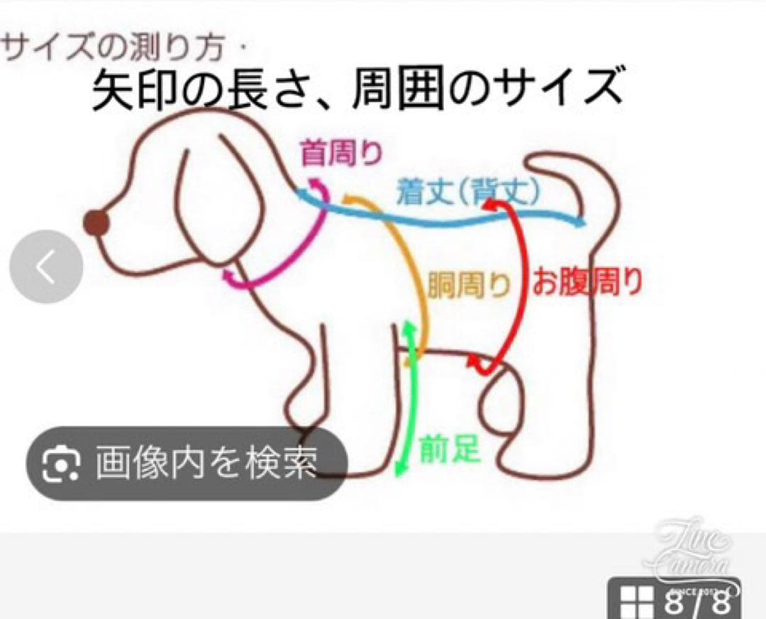 B402.pon2pan2☆オーダー☆犬お引き摺りお着物