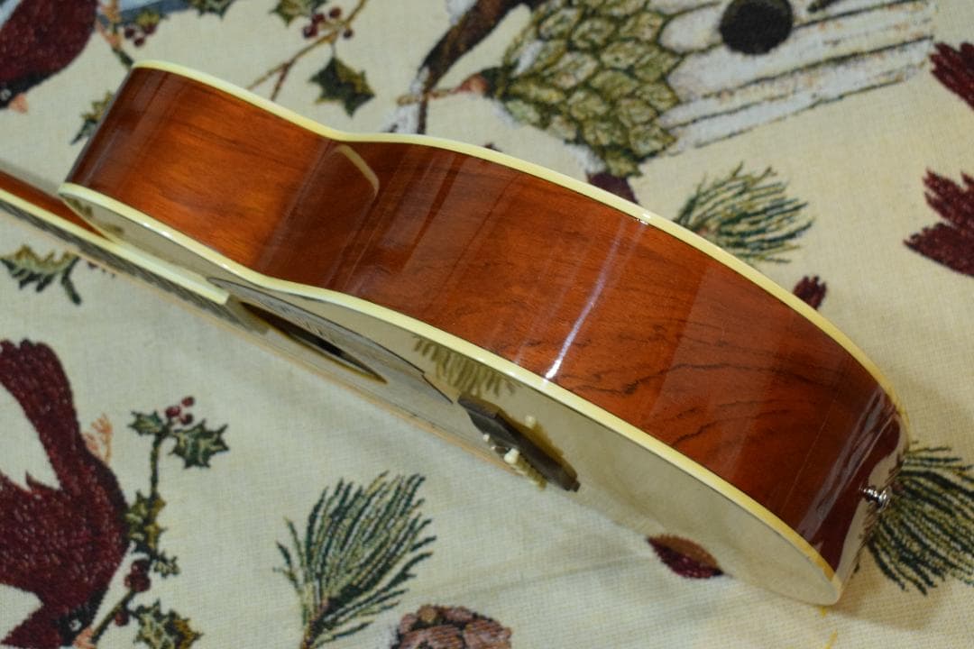 Ibanez PF200NT アコースティックギター ケース付