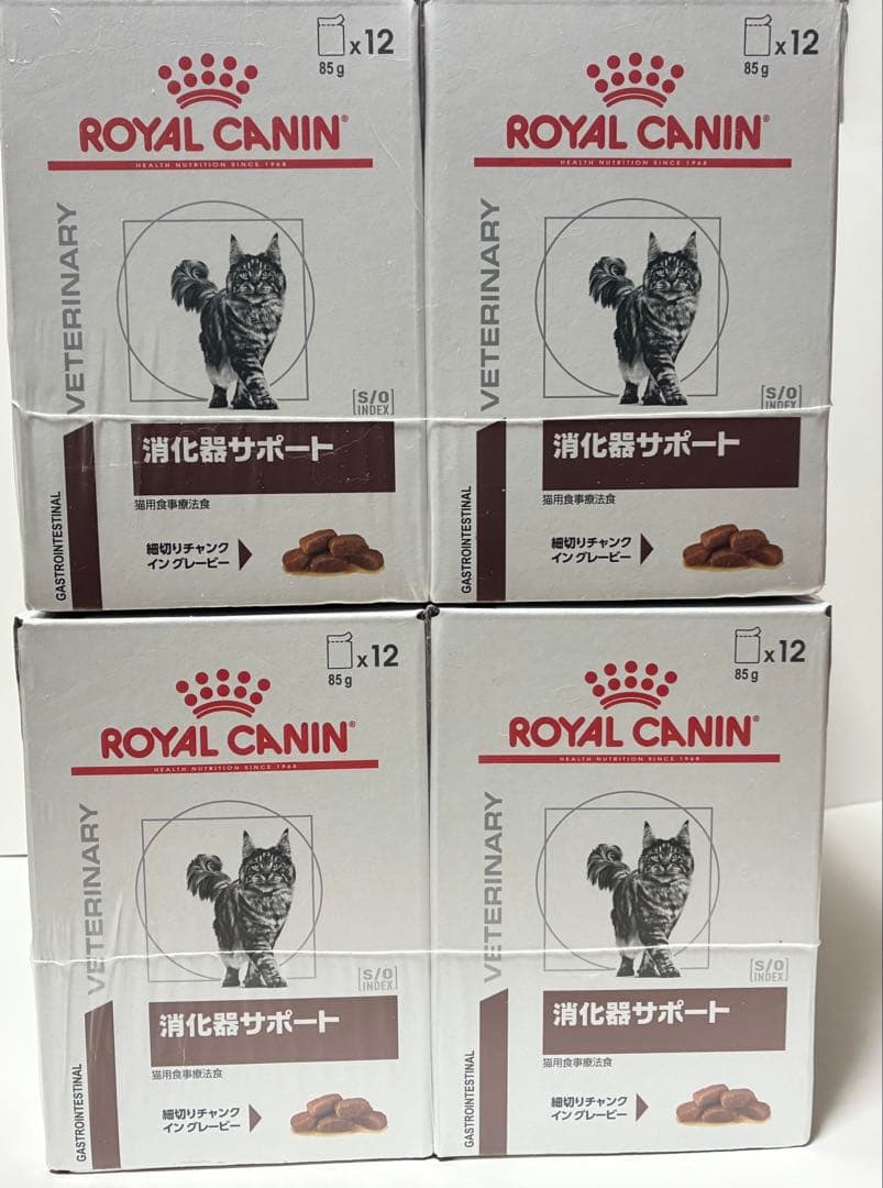  CANIN 消化器サポート 85g x 12個　4ケース