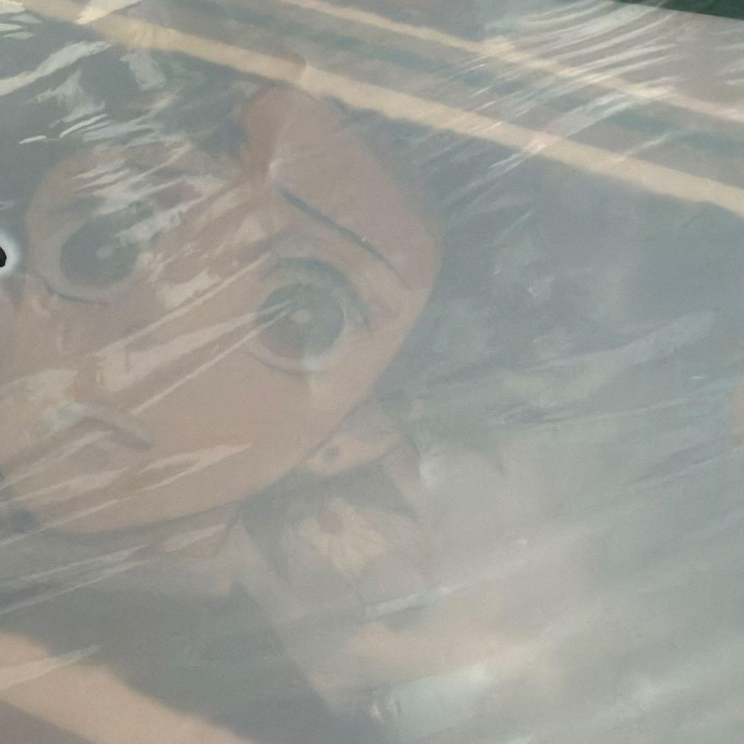 鬼滅の刃 A3ランチョンマットケース まとめ売り 25枚 ダイニング カフェ