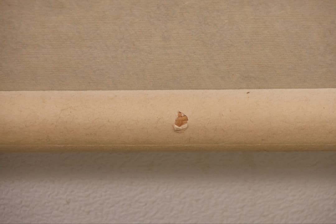 【真作】寿山(前田重作翁) 佛心大慈悲心是也 書 紙本 掛軸 明治生 CM410