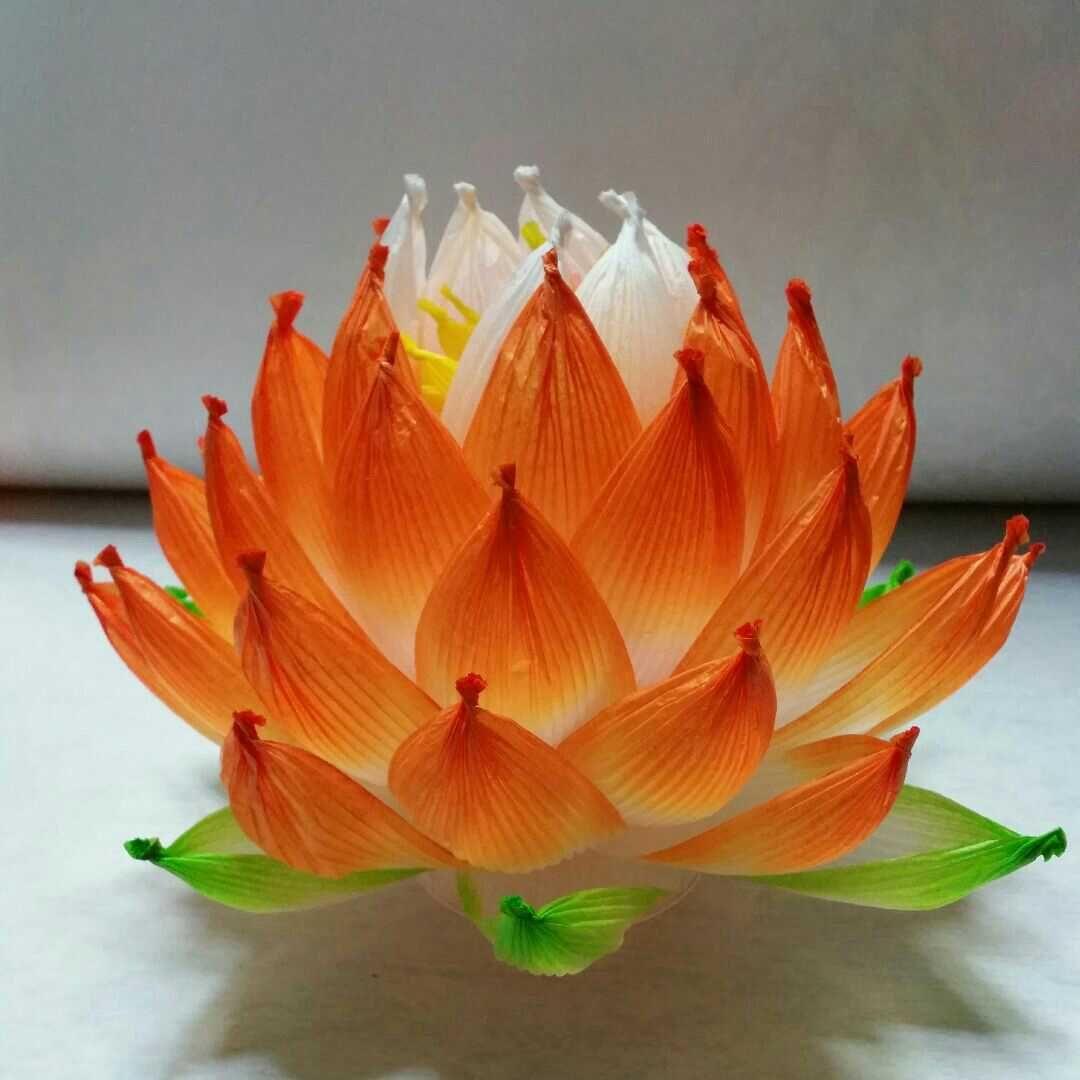 とみひろ