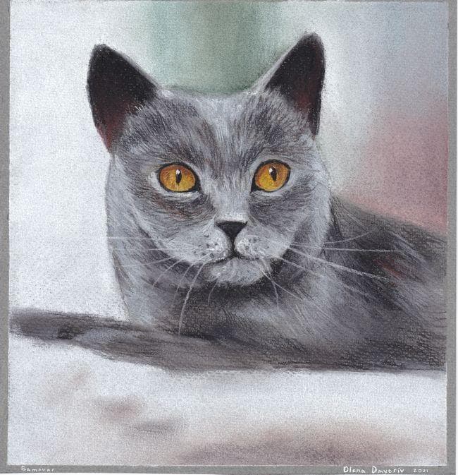 イラスト　原画　貴公子然とした表情　 「気品ある黒猫」