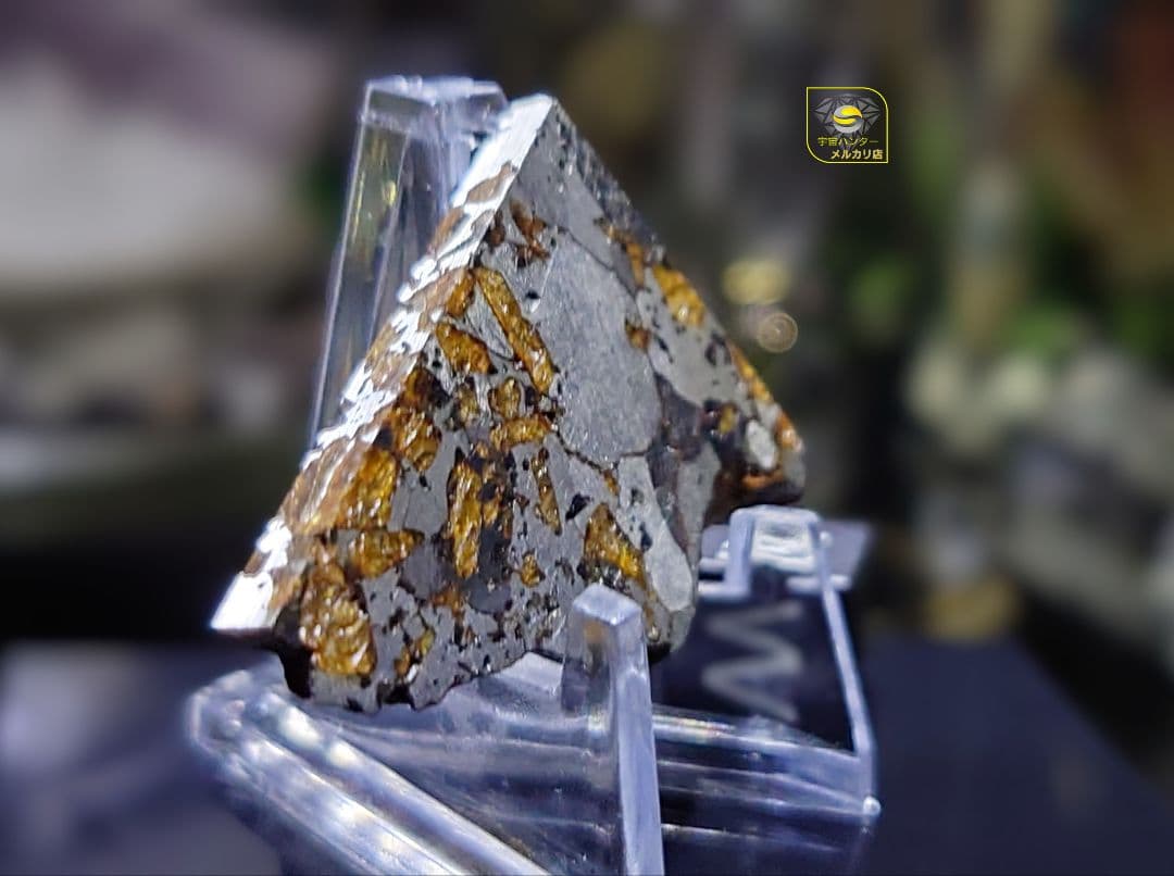 隕石 Hassi El Biod 002 パラサイト 12.23g⭐