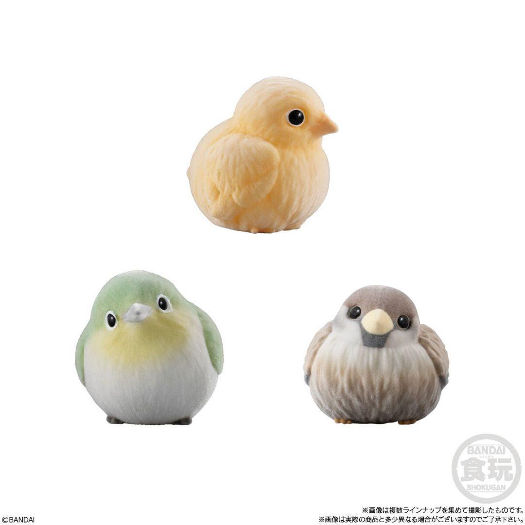 【BANDAI】カートン未開封『もふもふ♡てのりフレンズ』2024年発売の第１弾