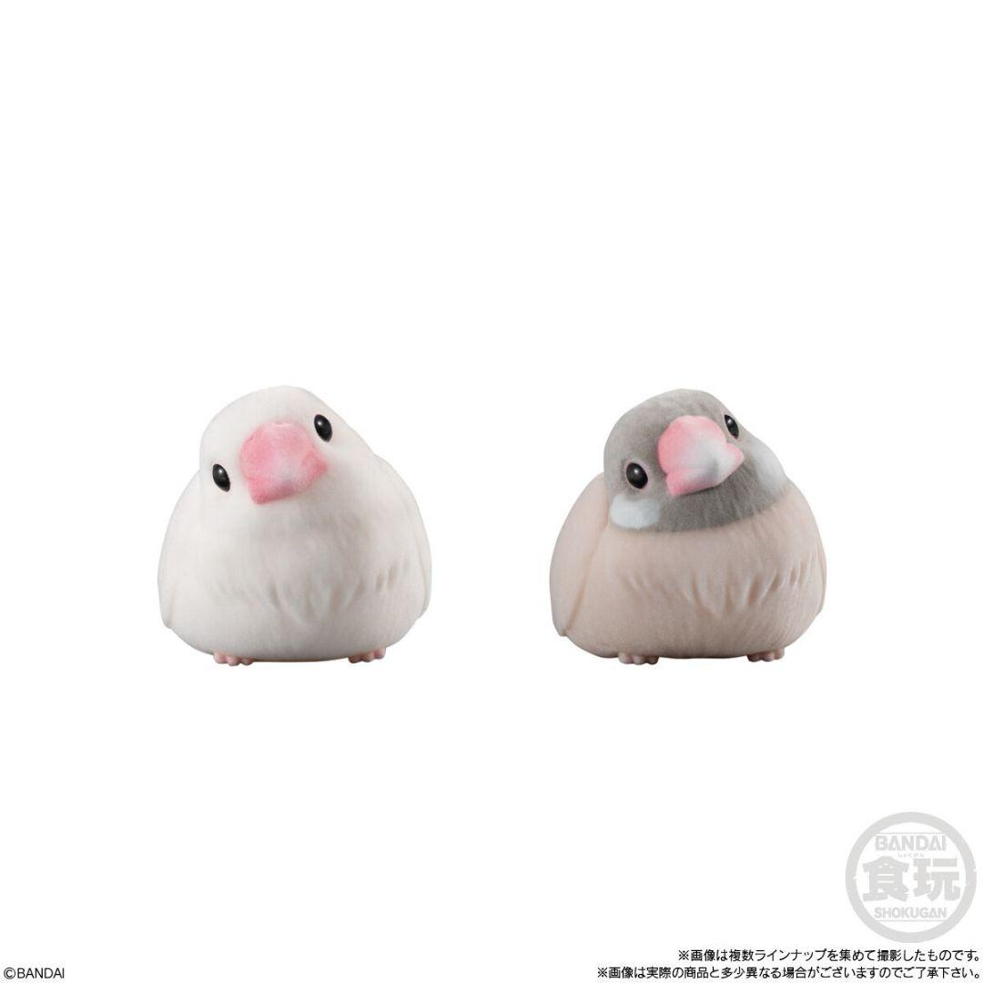 【BANDAI】カートン未開封『もふもふ♡てのりフレンズ』2024年発売の第１弾