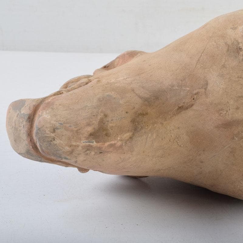 中国　加彩　豚俑　陶俑　置物　V　9049AE