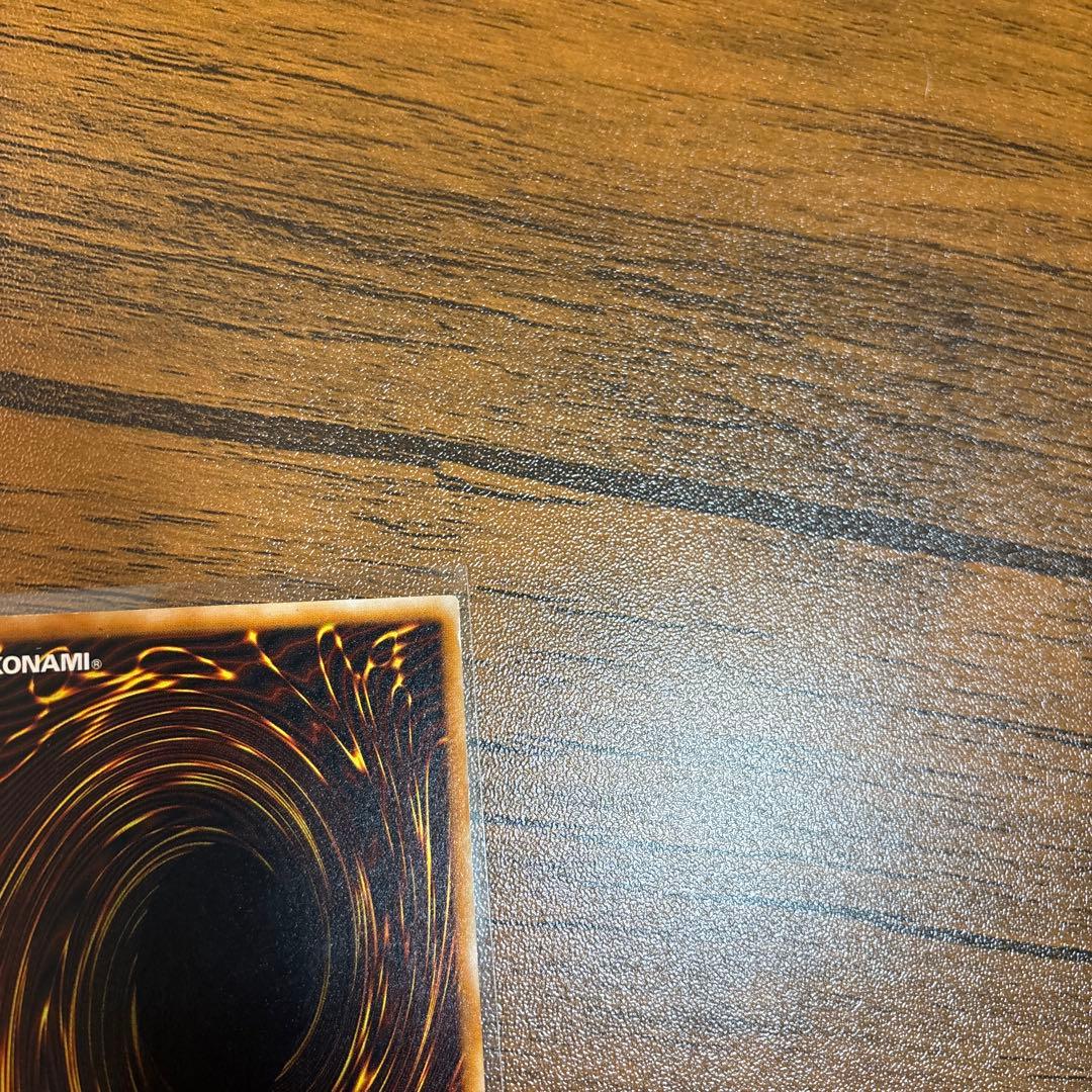 遊戯王　ダークネクロフィア　レリーフ