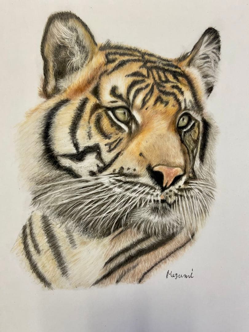 色鉛筆画