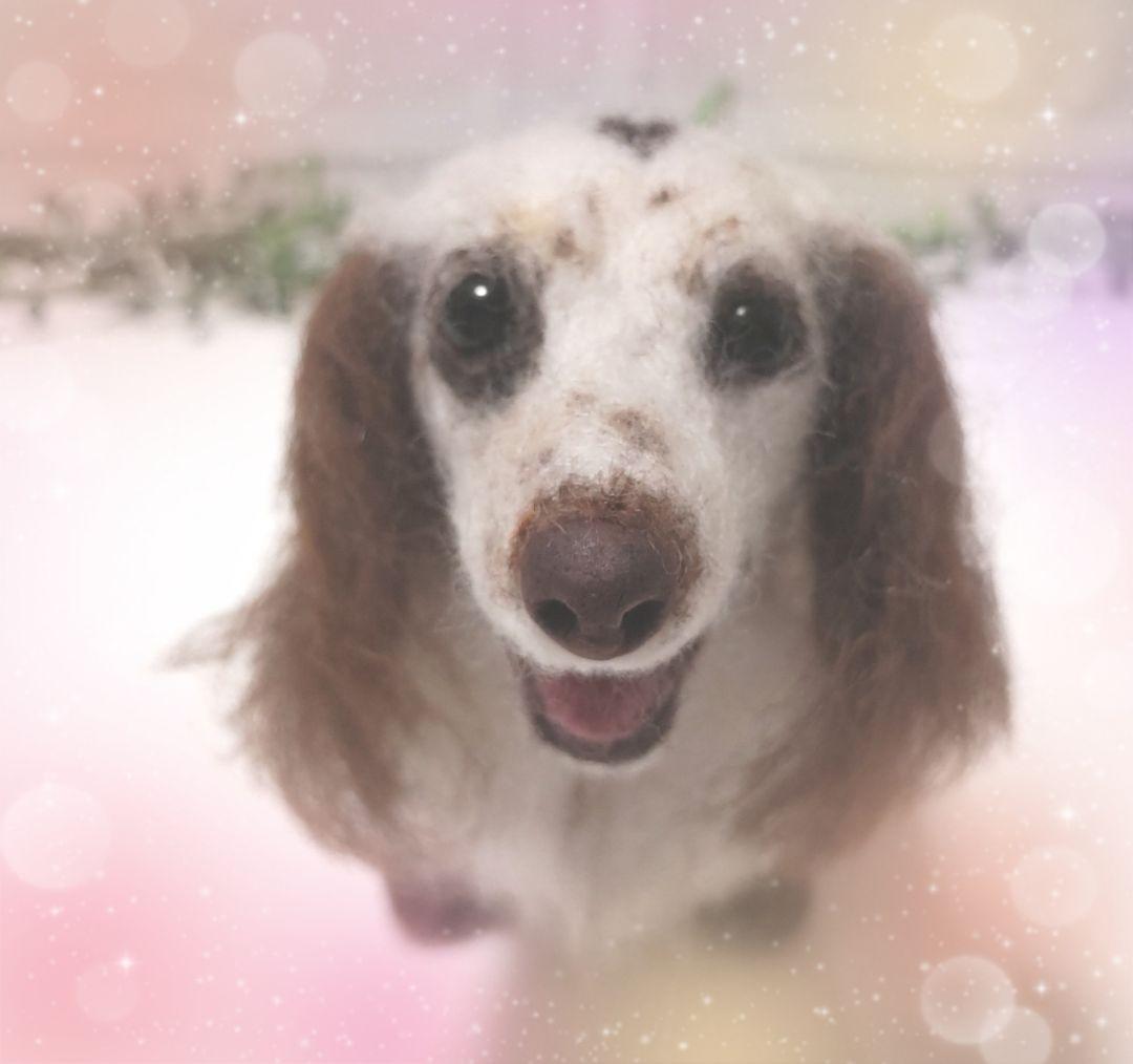 美桜♡うちの子オーダー♡羊毛フェルト♪ハンドメイド☆