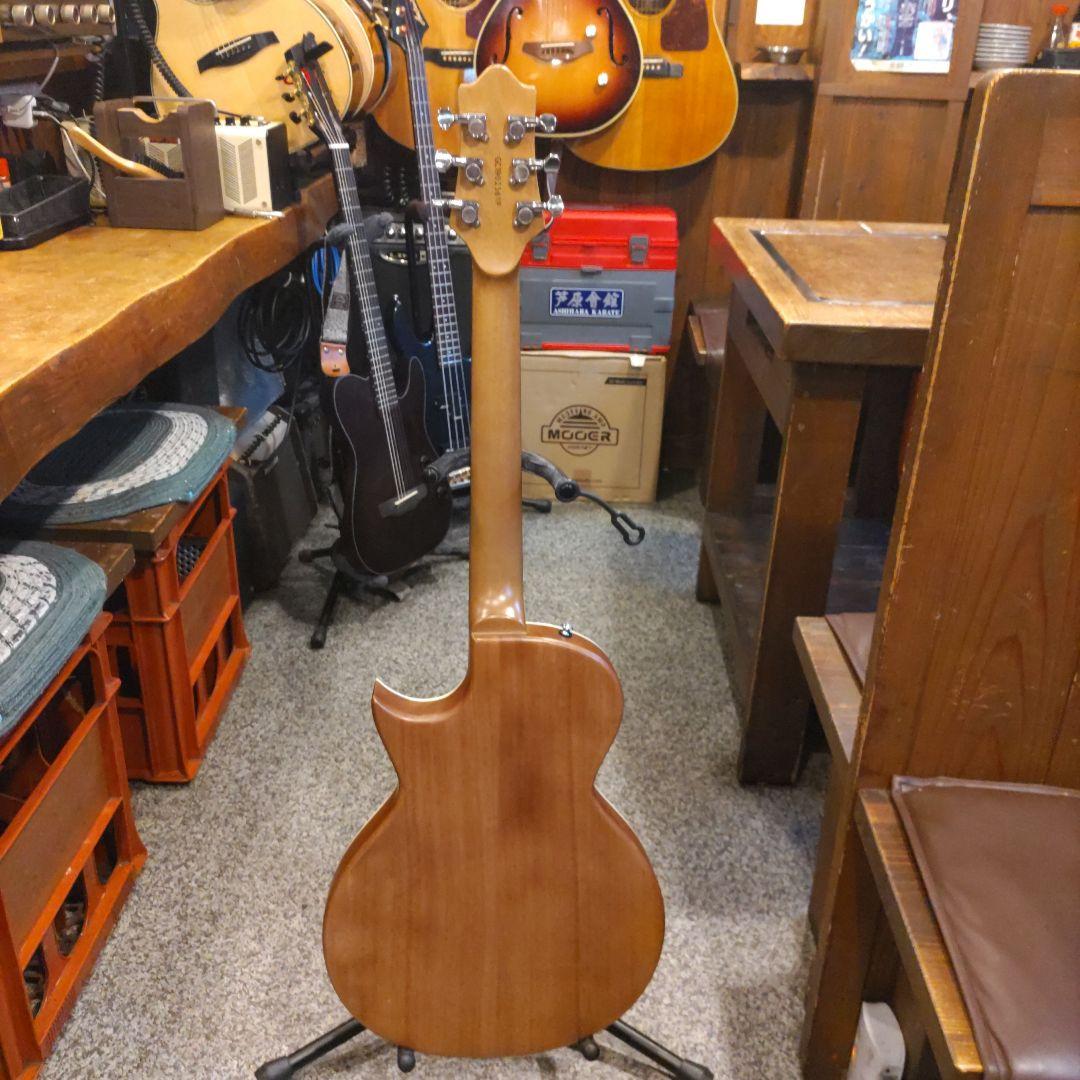 GrassRoots G-AC-45 エレアコ (管理ワテ)