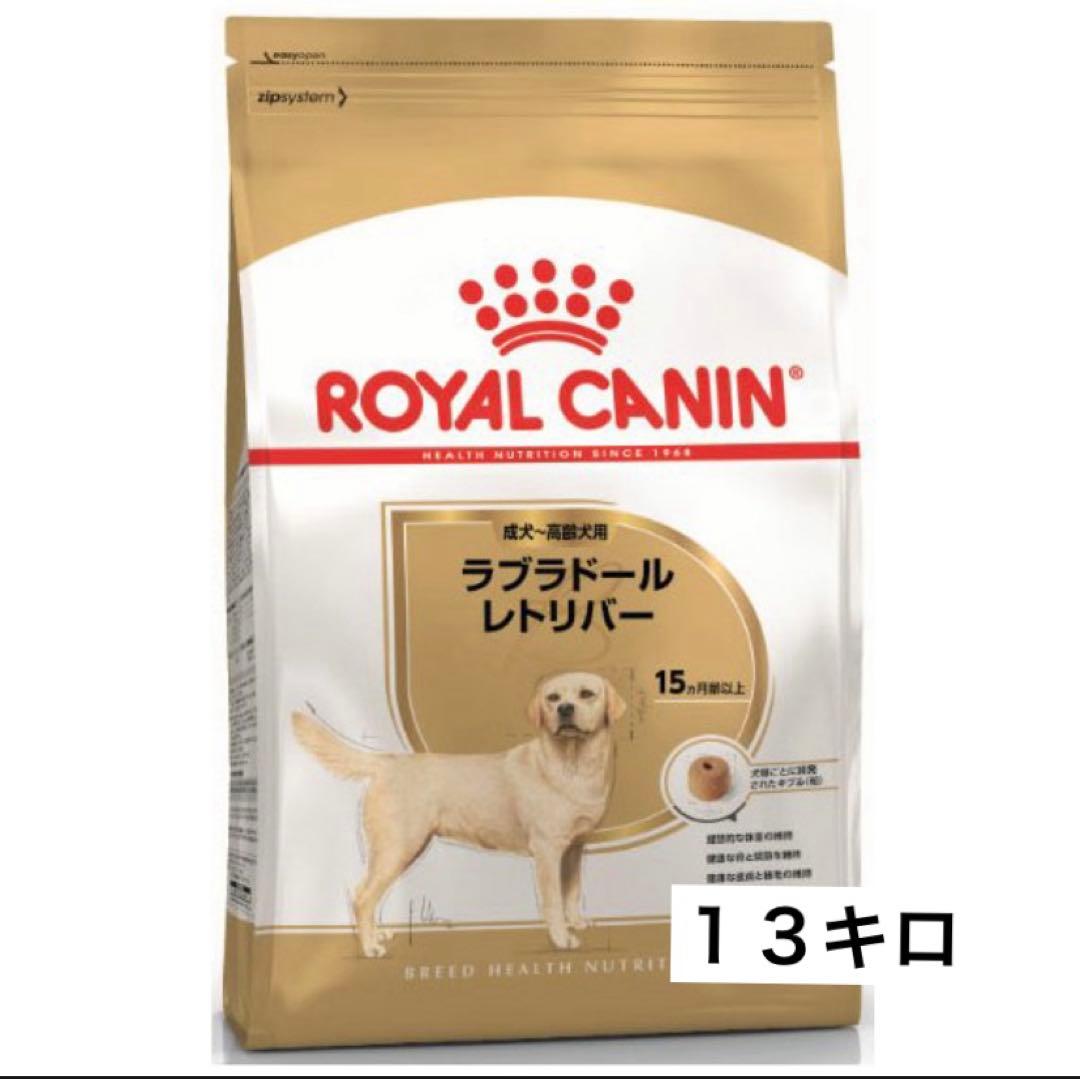 【B品：本日限り】ロイヤルカナン ラブラドールレトリバー成犬用　１３キロ