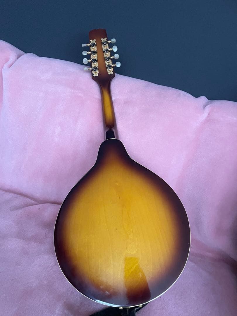 あおちゃん【希少】BlueBell フラットマンドリン 高級 FM-25