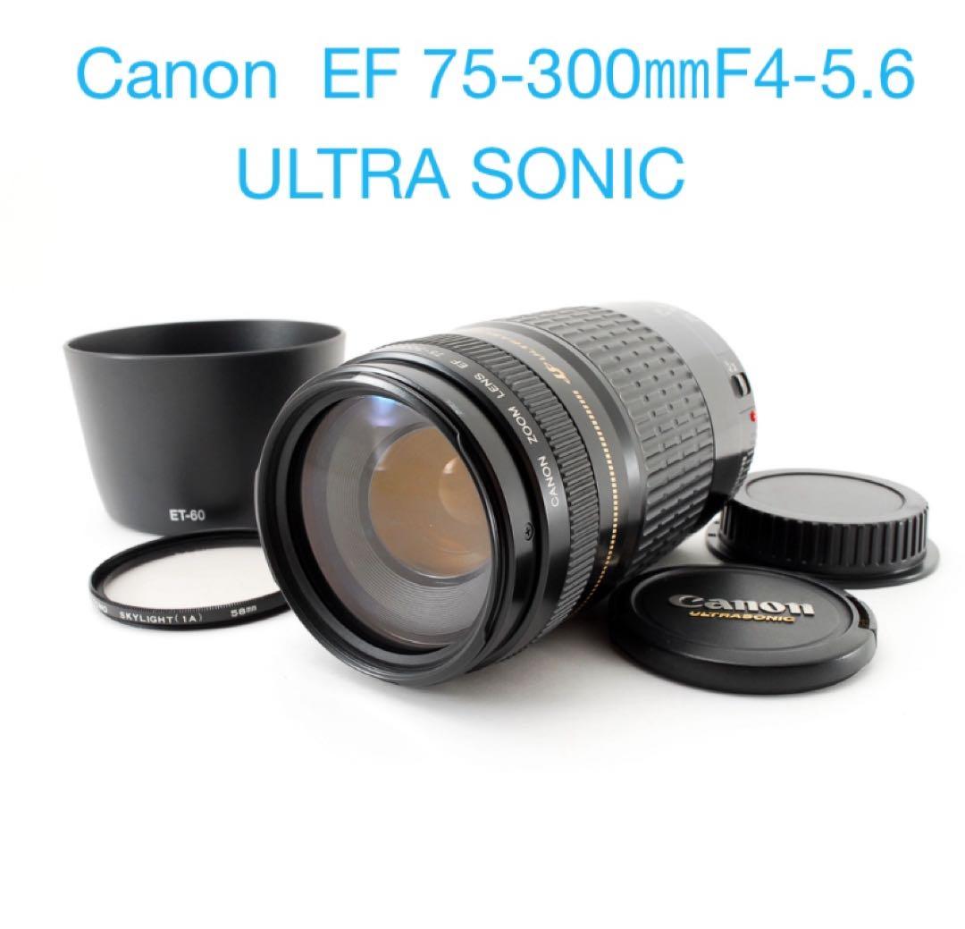 デジタル一眼レフカメラ☆人気の望遠レンズ☆Canon EF75-300㎜