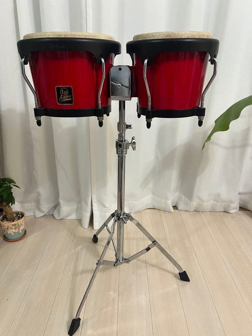 LP Aspire ボンゴ　スタンド付き