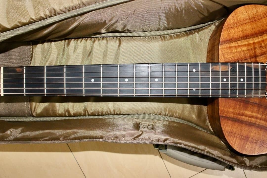 Taylor Baby t-e Koa ベイビーテイラー アコースティックギター