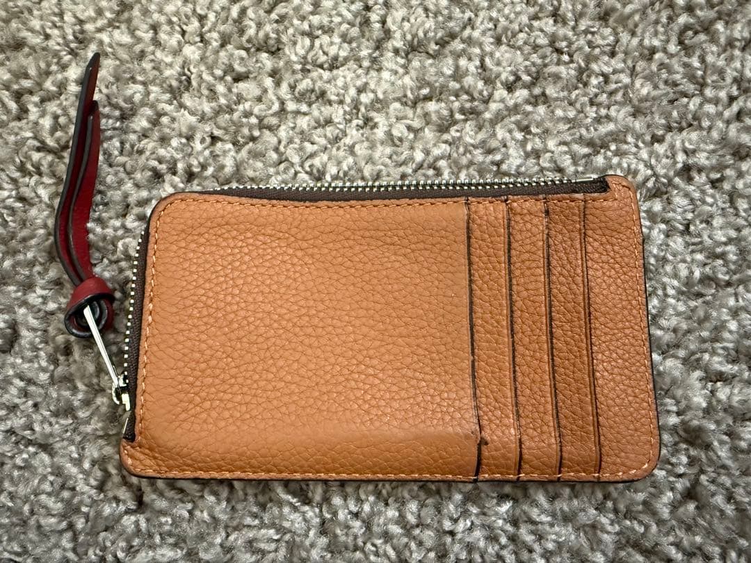 LOEWE フラグメントケース ブラウン/ベージュ