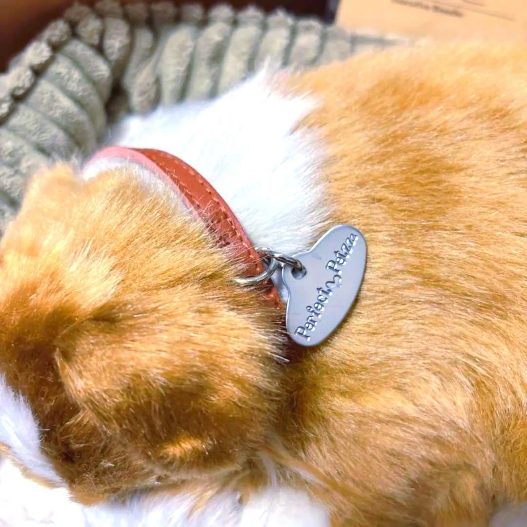 パーフェクトペット Perfect Petzzz コリー シェルティ ラッシー