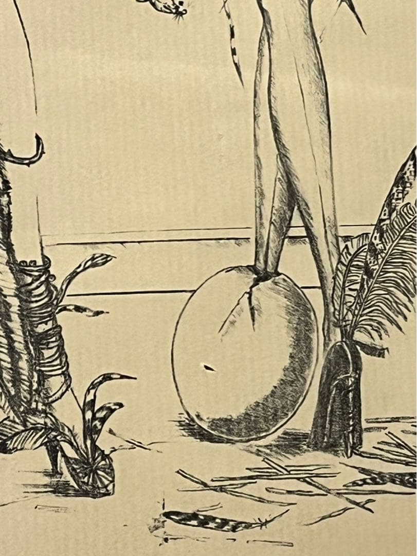 金子國義 リトグラフ 47/50 額装済 現代アート