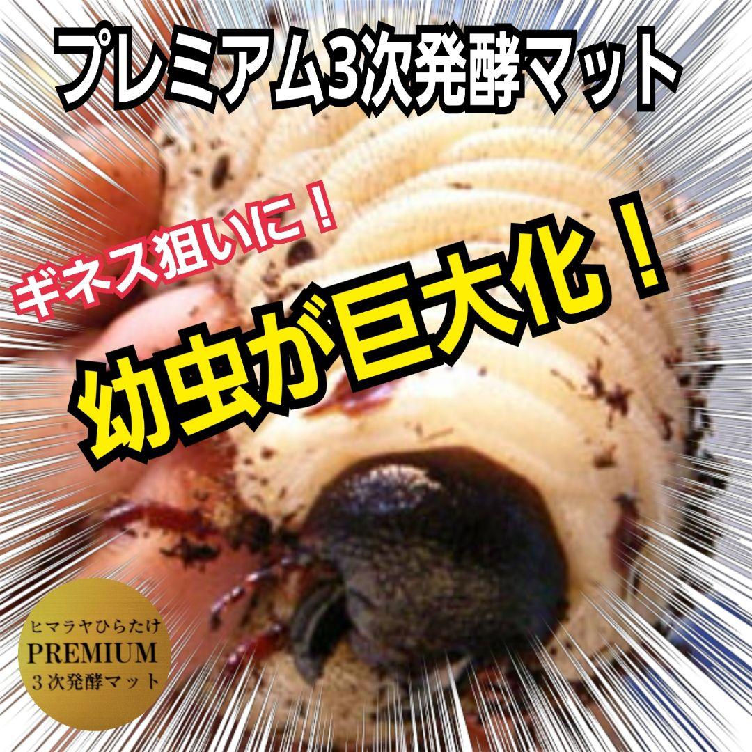 極上！プレミアム3次発酵カブトムシマット【80リットル】幼虫の餌、産卵にも抜群！