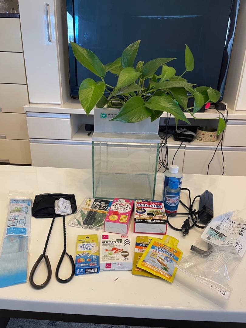 水槽　せせらぎビオトープ