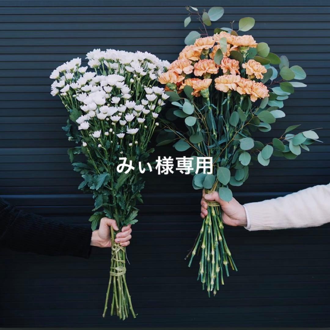 みぃ