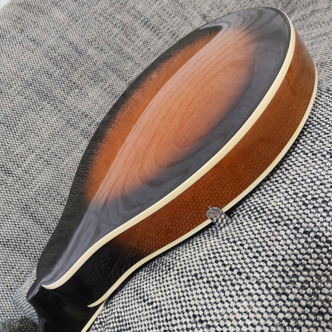 ARIA AM-20 マンドリン 8弦