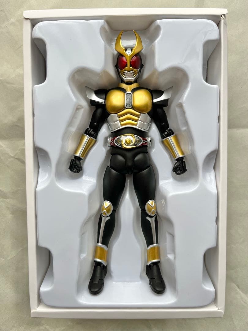 真骨彫製法　仮面ライダー　9個セット