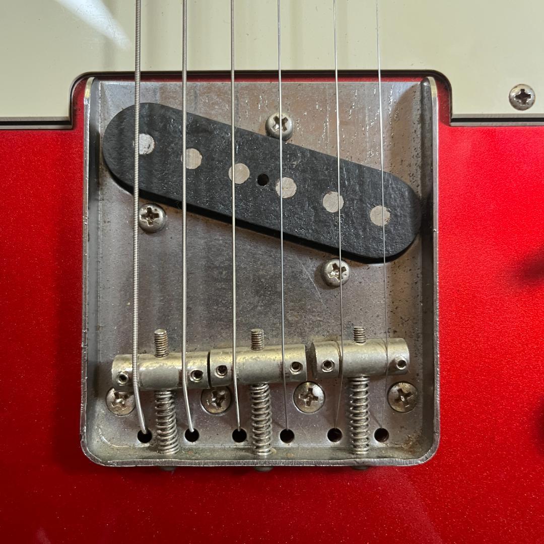 Fernandes TE-1 (Fender Japan TL62B ボディ)
