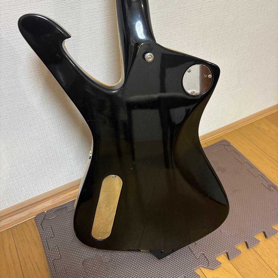 m*r様 Ibanez Paul Stanley