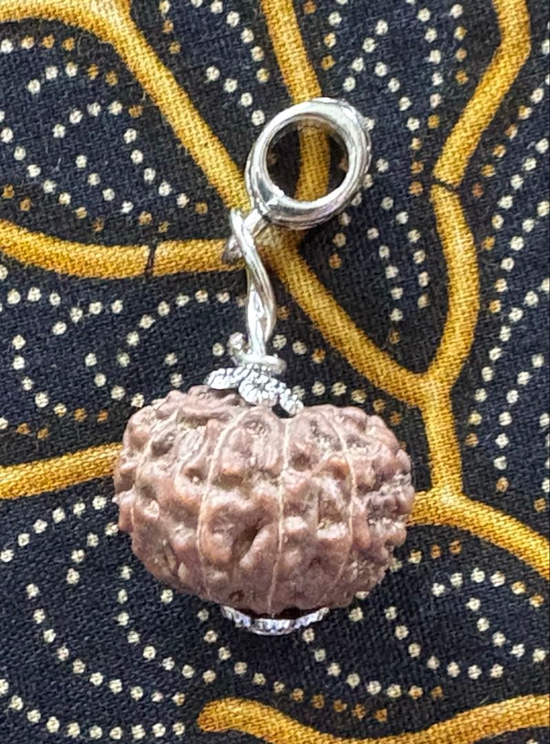 コッコブライド　ルドラクシャシナールブレスレット