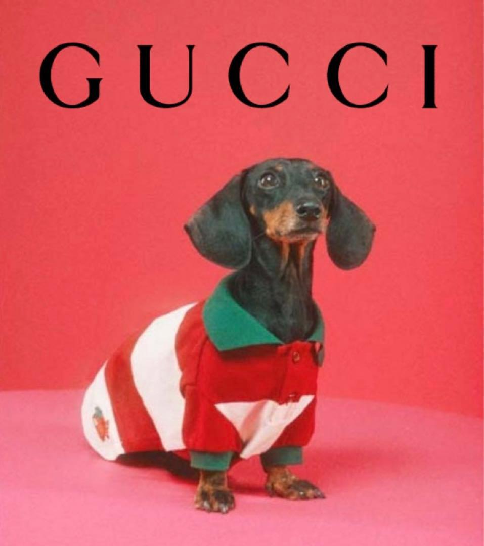 新品 グッチ ストロベリー ビッグストライプ ドッグ Tシャツ ドッグウェア L