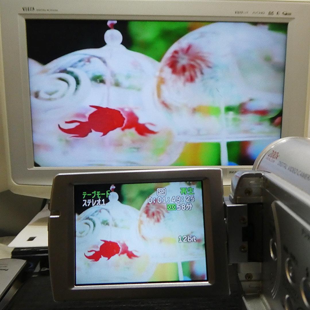 動作良好 キャノン DM IXY DV M3 MiniDVビデオ DVD化に最適