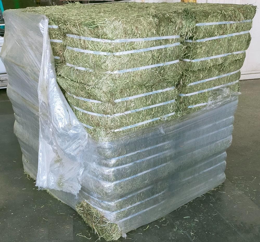 【処分価格】US産 チモシー 75kg ２番刈 ソフトSプレミアム
