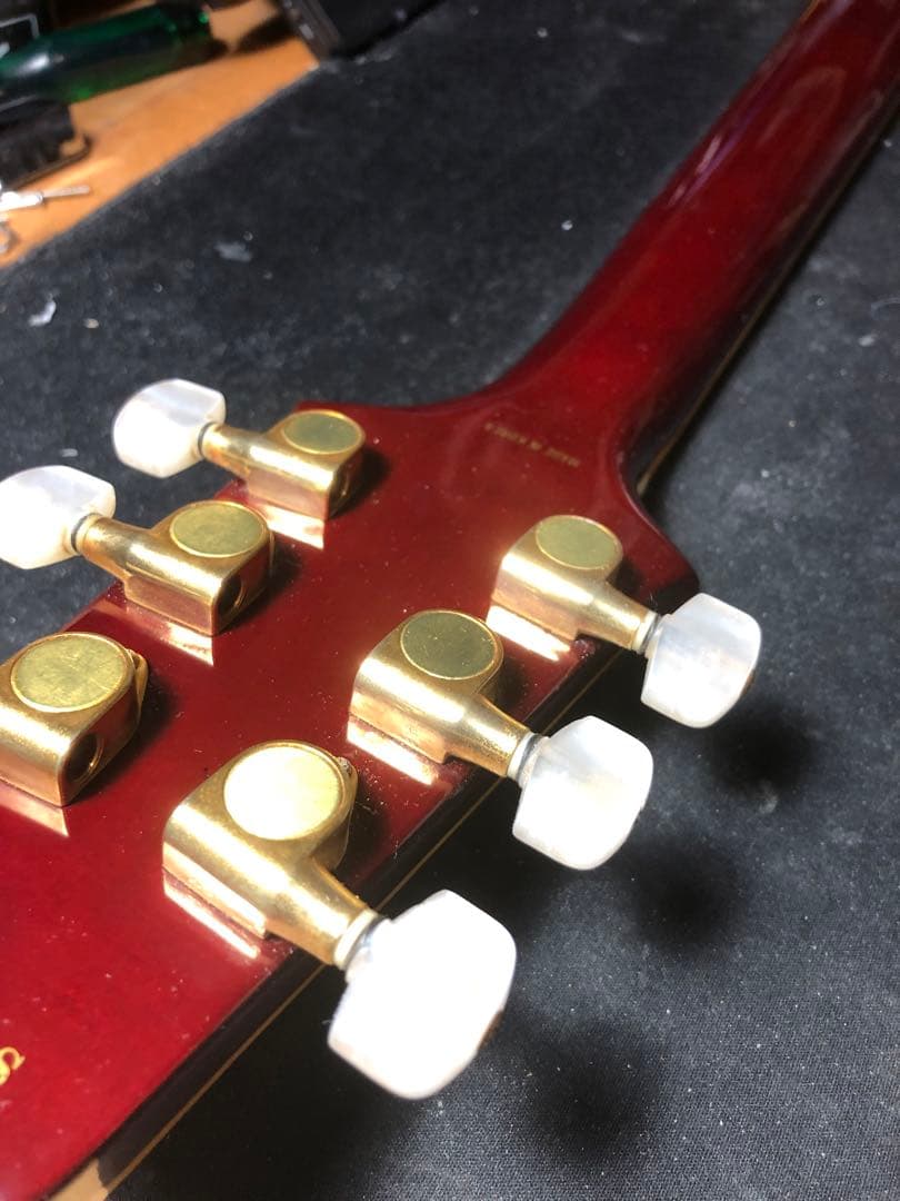 【ハチワレ猫さま専用】AriaProⅡ PE-DLX